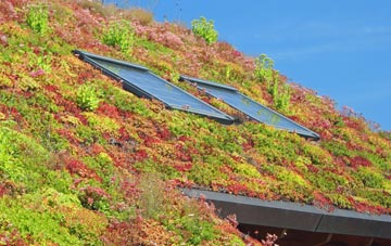 Hitcham living roof systems